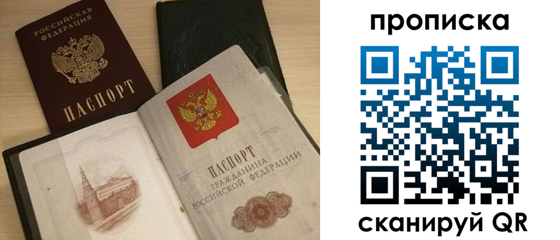 прописка в квартире в Ермолино
